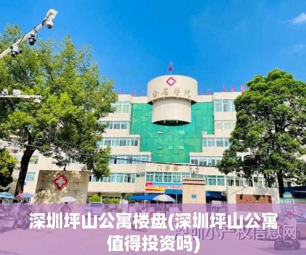 深圳坪山公寓楼盘(深圳坪山公寓值得投资吗)