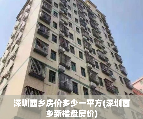 深圳西乡房价多少一平方(深圳西乡新楼盘房价)
