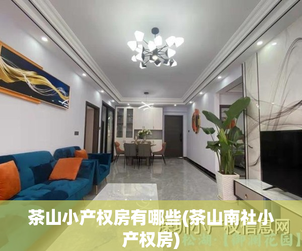 茶山小产权房有哪些(茶山南社小产权房)