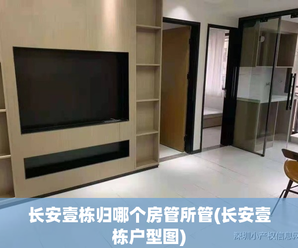 长安壹栋归哪个房管所管(长安壹栋户型图)