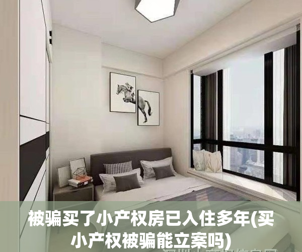 被骗买了小产权房已入住多年(买小产权被骗能立案吗)