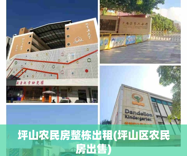坪山农民房整栋出租(坪山区农民房出售)