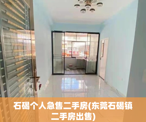 石碣个人急售二手房(东莞石碣镇二手房出售)