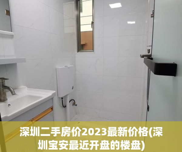深圳二手房价2023最新价格(深圳宝安最近开盘的楼盘)