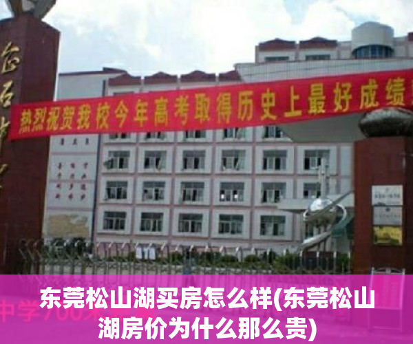 东莞松山湖买房怎么样(东莞松山湖房价为什么那么贵)