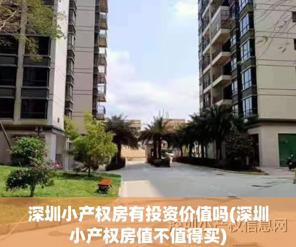深圳小产权房有投资价值吗(深圳小产权房值不值得买)