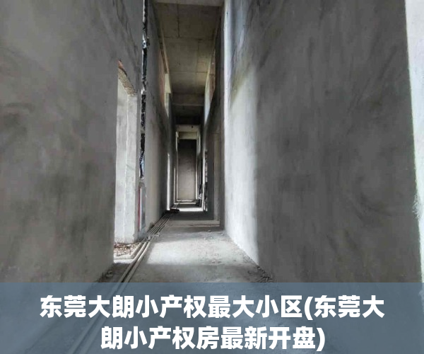 东莞大朗小产权最大小区(东莞大朗小产权房最新开盘)