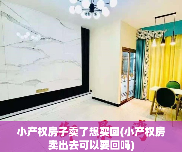 小产权房子卖了想买回(小产权房卖出去可以要回吗)