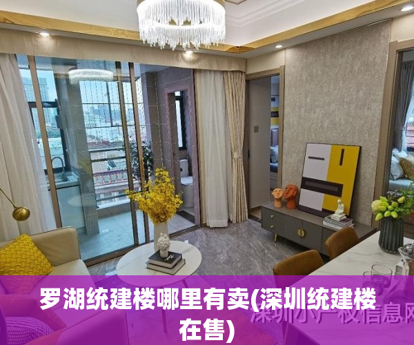 罗湖统建楼哪里有卖(深圳统建楼在售)