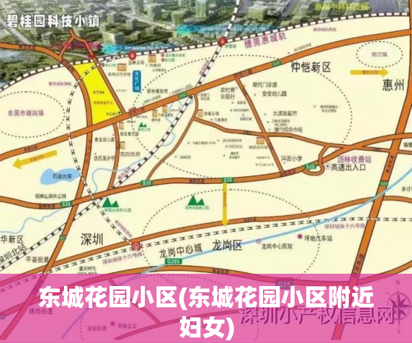 东城花园小区(东城花园小区附近妇女)