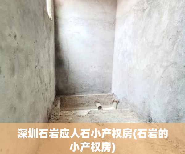 深圳石岩应人石小产权房(石岩的小产权房)
