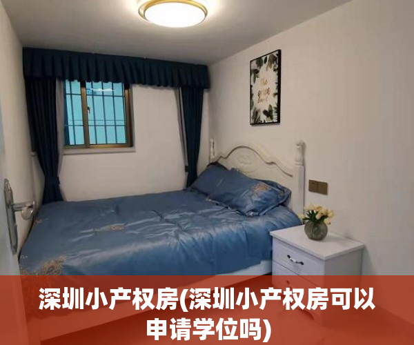 深圳小产权房(深圳小产权房可以申请学位吗)