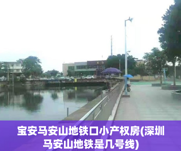 宝安马安山地铁口小产权房(深圳马安山地铁是几号线)