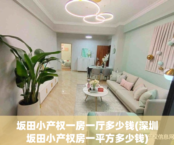 坂田小产权一房一厅多少钱(深圳坂田小产权房一平方多少钱)