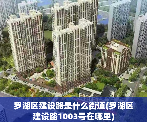 罗湖区建设路是什么街道(罗湖区建设路1003号在哪里)