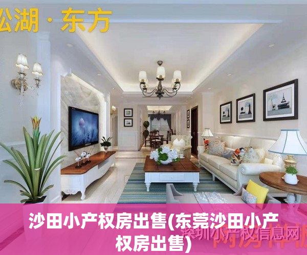 沙田小产权房出售(东莞沙田小产权房出售)