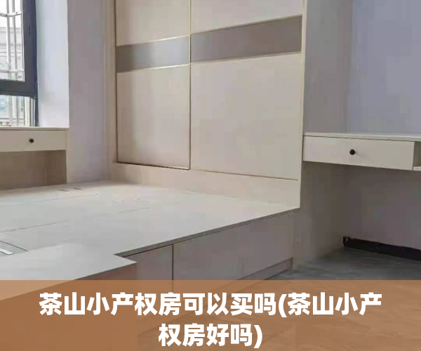 茶山小产权房可以买吗(茶山小产权房好吗)