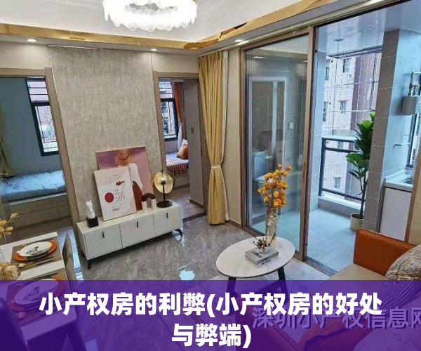 小产权房的利弊(小产权房的好处与弊端)