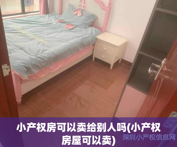 小产权房可以卖给别人吗(小产权房屋可以卖)