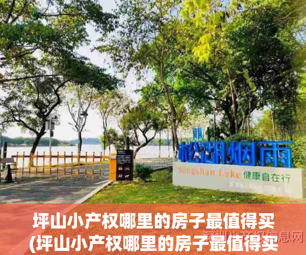 坪山小产权哪里的房子最值得买(坪山小产权哪里的房子最值得买呢)