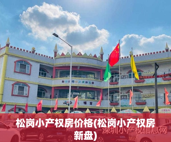 松岗小产权房价格(松岗小产权房新盘)
