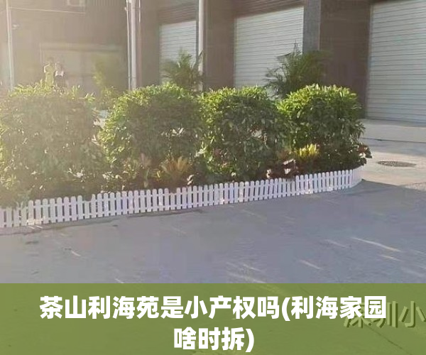 茶山利海苑是小产权吗(利海家园啥时拆)