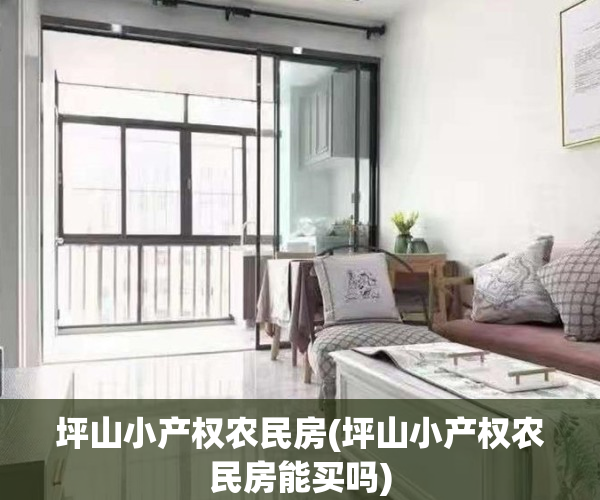 坪山小产权农民房(坪山小产权农民房能买吗)