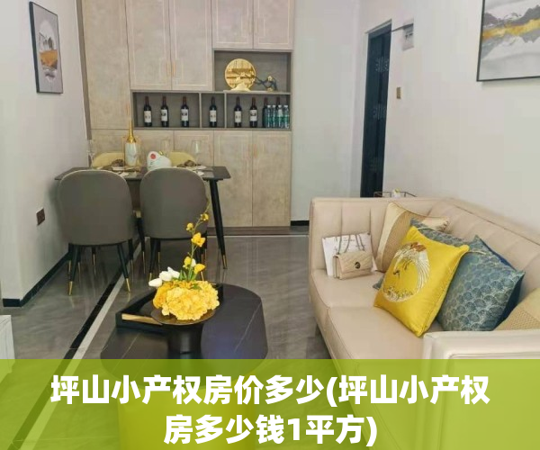 坪山小产权房价多少(坪山小产权房多少钱1平方)