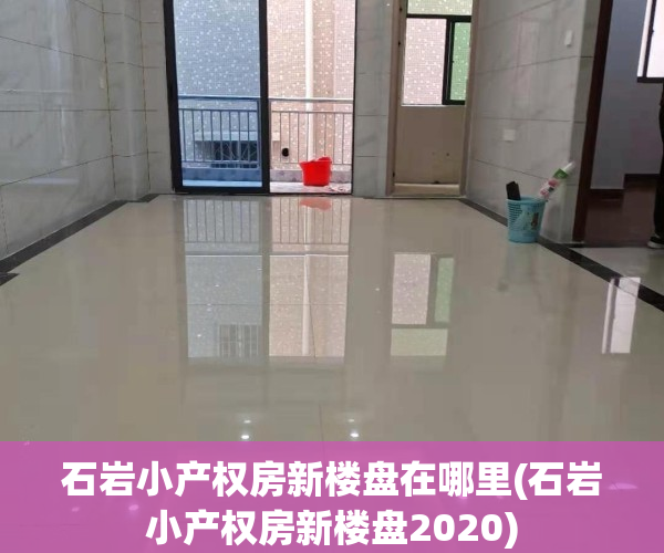 石岩小产权房新楼盘在哪里(石岩小产权房新楼盘2020)