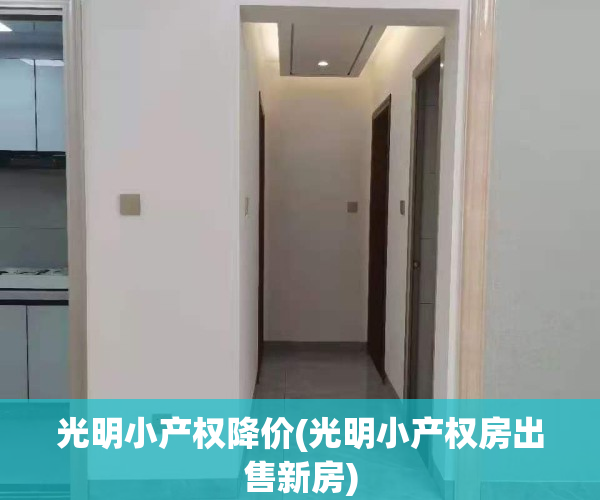 光明小产权降价(光明小产权房出售新房)