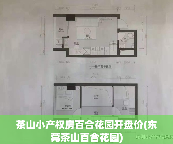 茶山小产权房百合花园开盘价(东莞茶山百合花园)