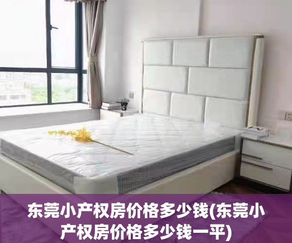 东莞小产权房价格多少钱(东莞小产权房价格多少钱一平)