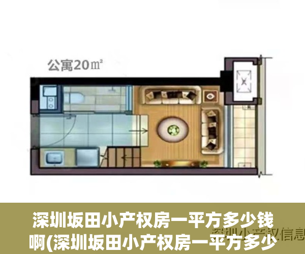 深圳坂田小产权房一平方多少钱啊(深圳坂田小产权房一平方多少钱啊图片)