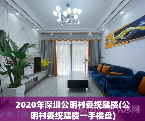 2020年深圳公明村委统建楼(公明村委统建楼一手楼盘)