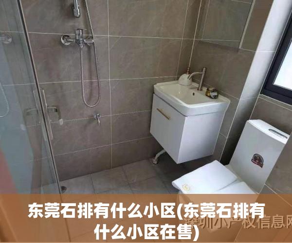 东莞石排有什么小区(东莞石排有什么小区在售)