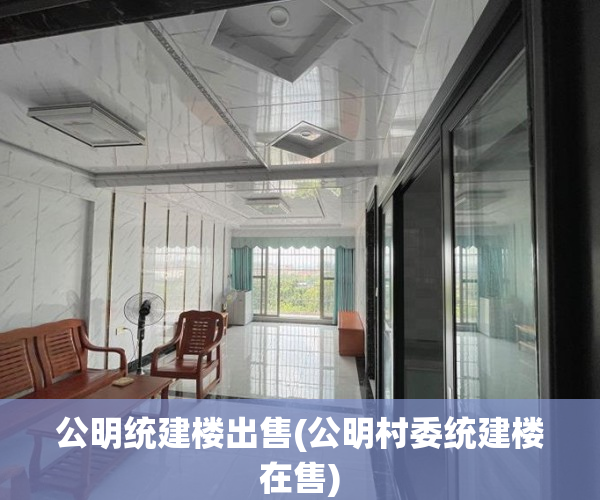 公明统建楼出售(公明村委统建楼在售)