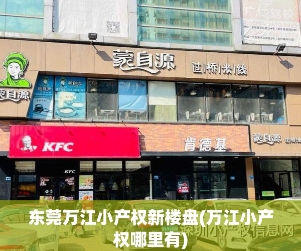 东莞万江小产权新楼盘(万江小产权哪里有)