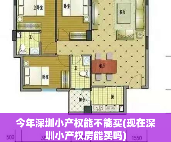 今年深圳小产权能不能买(现在深圳小产权房能买吗)