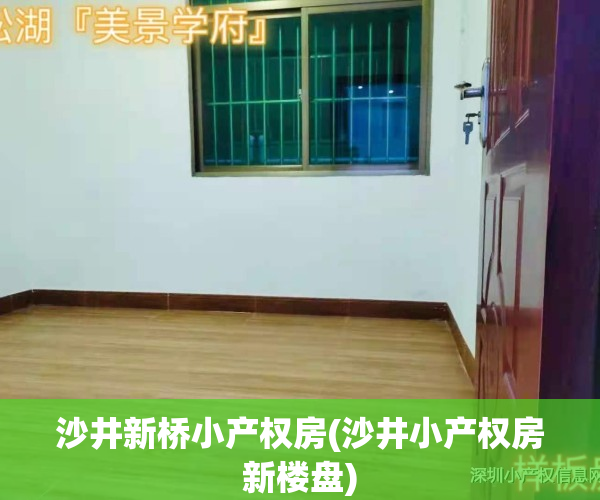 沙井新桥小产权房(沙井小产权房新楼盘)