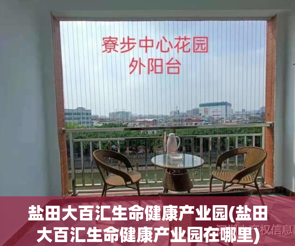 盐田大百汇生命健康产业园(盐田大百汇生命健康产业园在哪里)