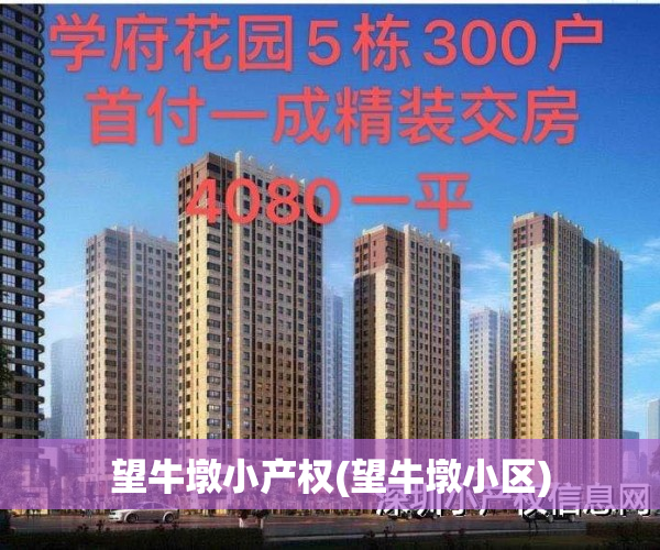 望牛墩小产权(望牛墩小区)