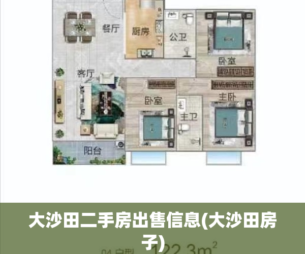 大沙田二手房出售信息(大沙田房子)