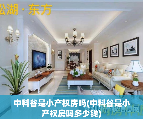 中科谷是小产权房吗(中科谷是小产权房吗多少钱)