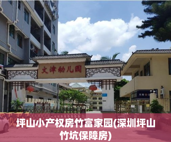 坪山小产权房竹富家园(深圳坪山竹坑保障房)