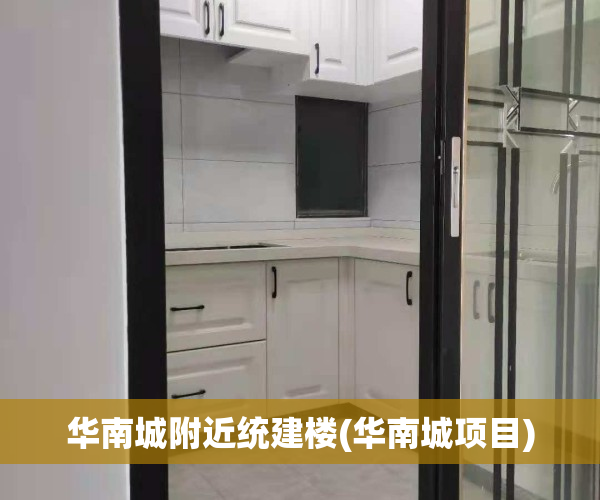 华南城附近统建楼(华南城项目)
