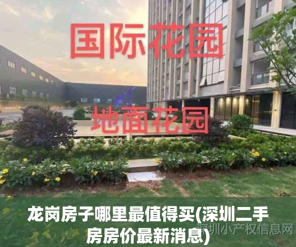 龙岗房子哪里最值得买(深圳二手房房价最新消息)