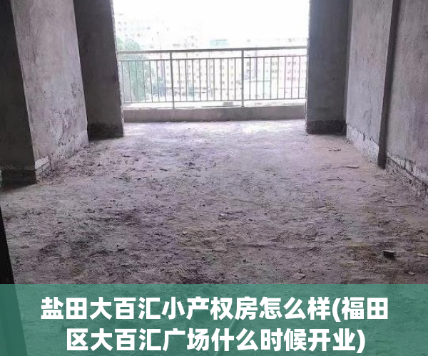 盐田大百汇小产权房怎么样(福田区大百汇广场什么时候开业)