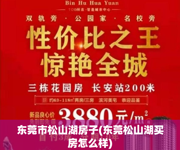 东莞市松山湖房子(东莞松山湖买房怎么样)