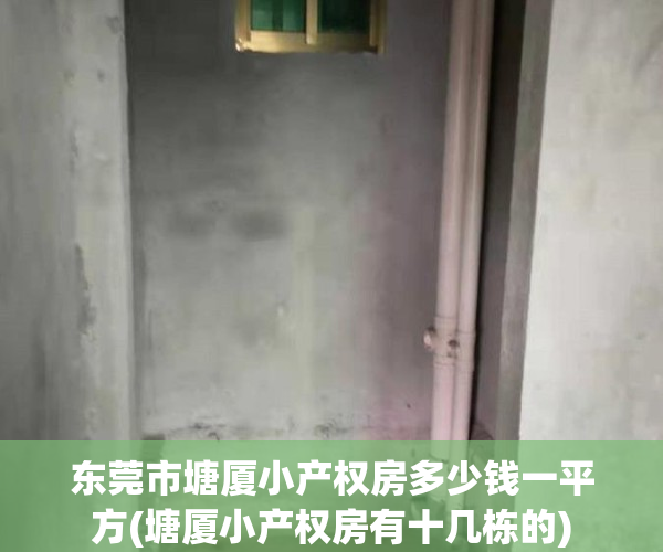 东莞市塘厦小产权房多少钱一平方(塘厦小产权房有十几栋的)