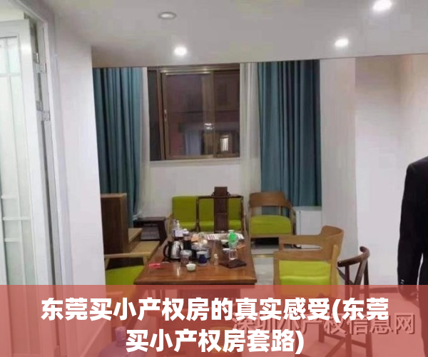 东莞买小产权房的真实感受(东莞买小产权房套路)